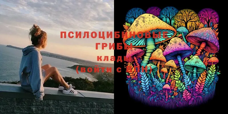 Псилоцибиновые грибы Magic Shrooms  Арсеньев 